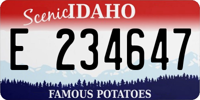 ID license plate E234647
