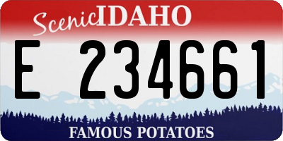 ID license plate E234661