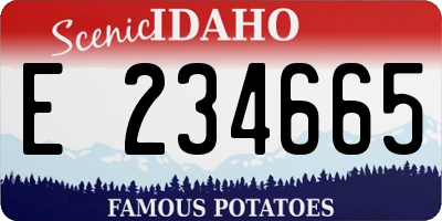 ID license plate E234665