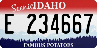 ID license plate E234667