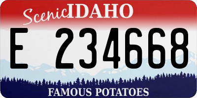 ID license plate E234668