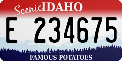 ID license plate E234675