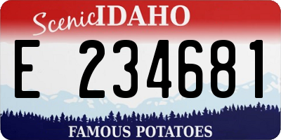 ID license plate E234681