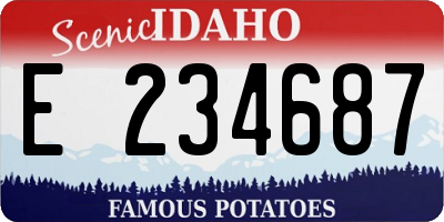 ID license plate E234687