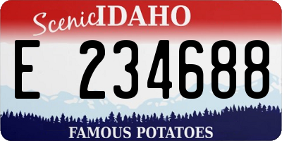 ID license plate E234688