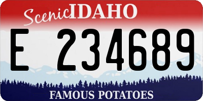 ID license plate E234689