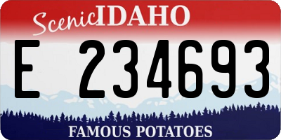 ID license plate E234693