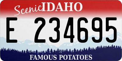 ID license plate E234695