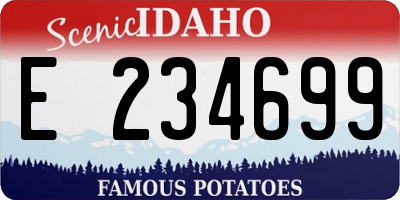 ID license plate E234699