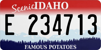 ID license plate E234713