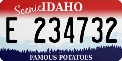 ID license plate E234732