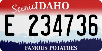 ID license plate E234736