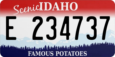 ID license plate E234737