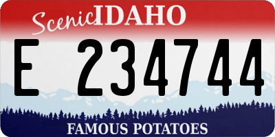 ID license plate E234744