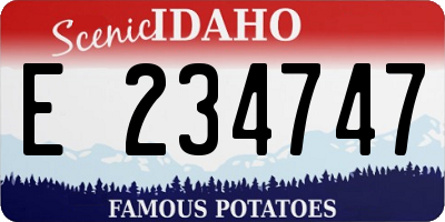 ID license plate E234747