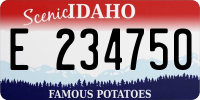 ID license plate E234750