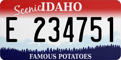 ID license plate E234751