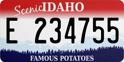 ID license plate E234755