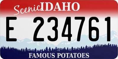 ID license plate E234761