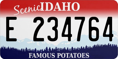 ID license plate E234764
