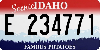 ID license plate E234771
