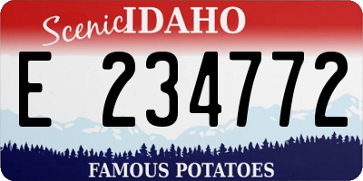 ID license plate E234772