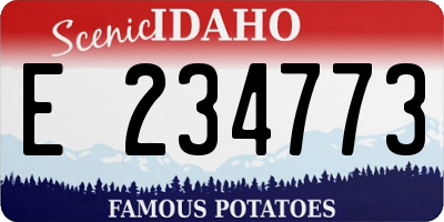 ID license plate E234773