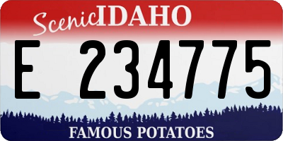 ID license plate E234775