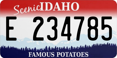 ID license plate E234785