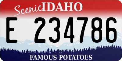 ID license plate E234786