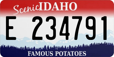 ID license plate E234791