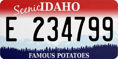 ID license plate E234799