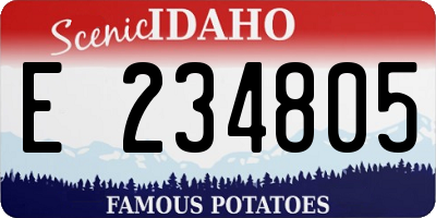 ID license plate E234805