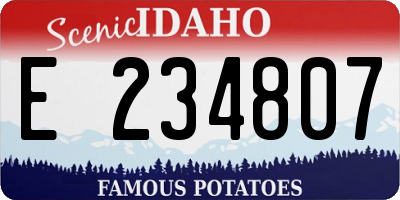 ID license plate E234807