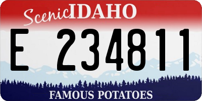 ID license plate E234811