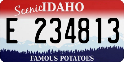 ID license plate E234813