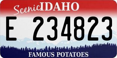 ID license plate E234823