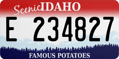 ID license plate E234827