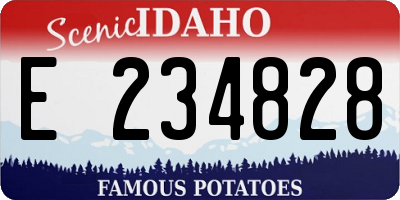 ID license plate E234828