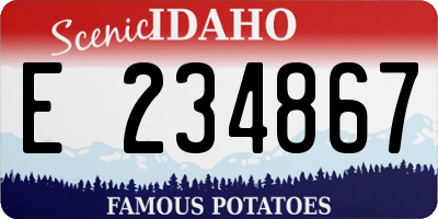 ID license plate E234867