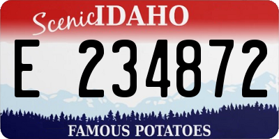 ID license plate E234872