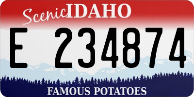ID license plate E234874