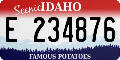 ID license plate E234876