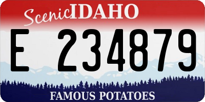 ID license plate E234879
