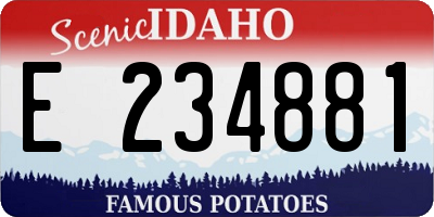 ID license plate E234881