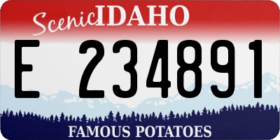 ID license plate E234891