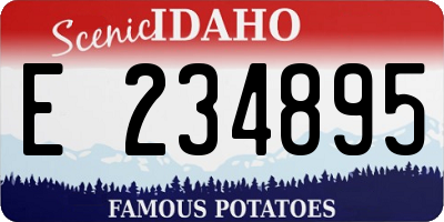 ID license plate E234895