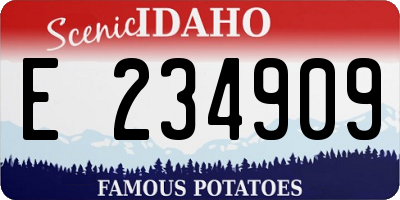 ID license plate E234909