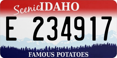 ID license plate E234917