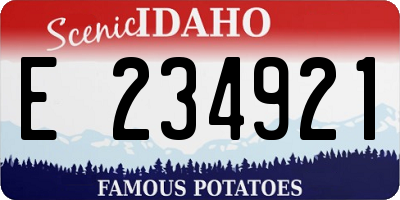ID license plate E234921